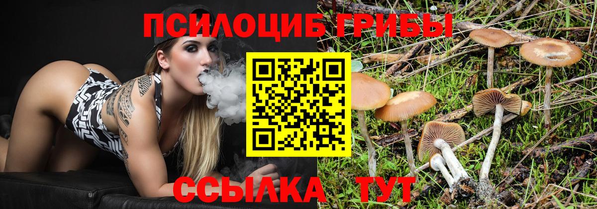 Галлюциногенные грибы Cubensis Кропоткин